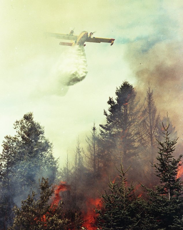 Real photograph: Dettaglio tecnico: Canadair CL-215 water drop.